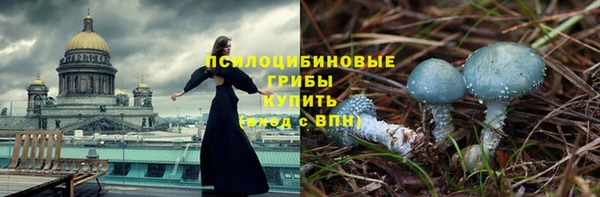 2c-b Абинск
