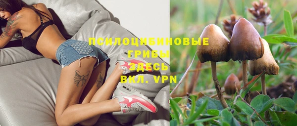герыч Алзамай