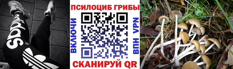 даркнет сайт Красновишерск Псилоцибиновые грибы прущие грибы
